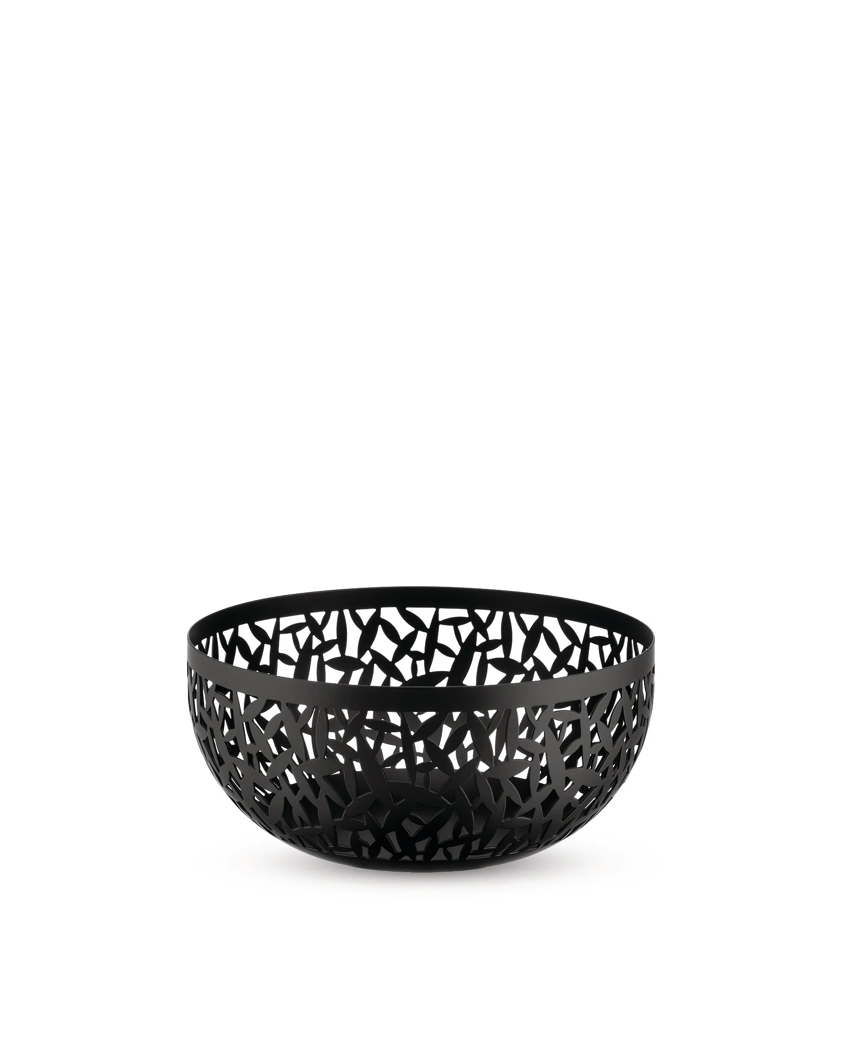 CACTUS! - Image 6