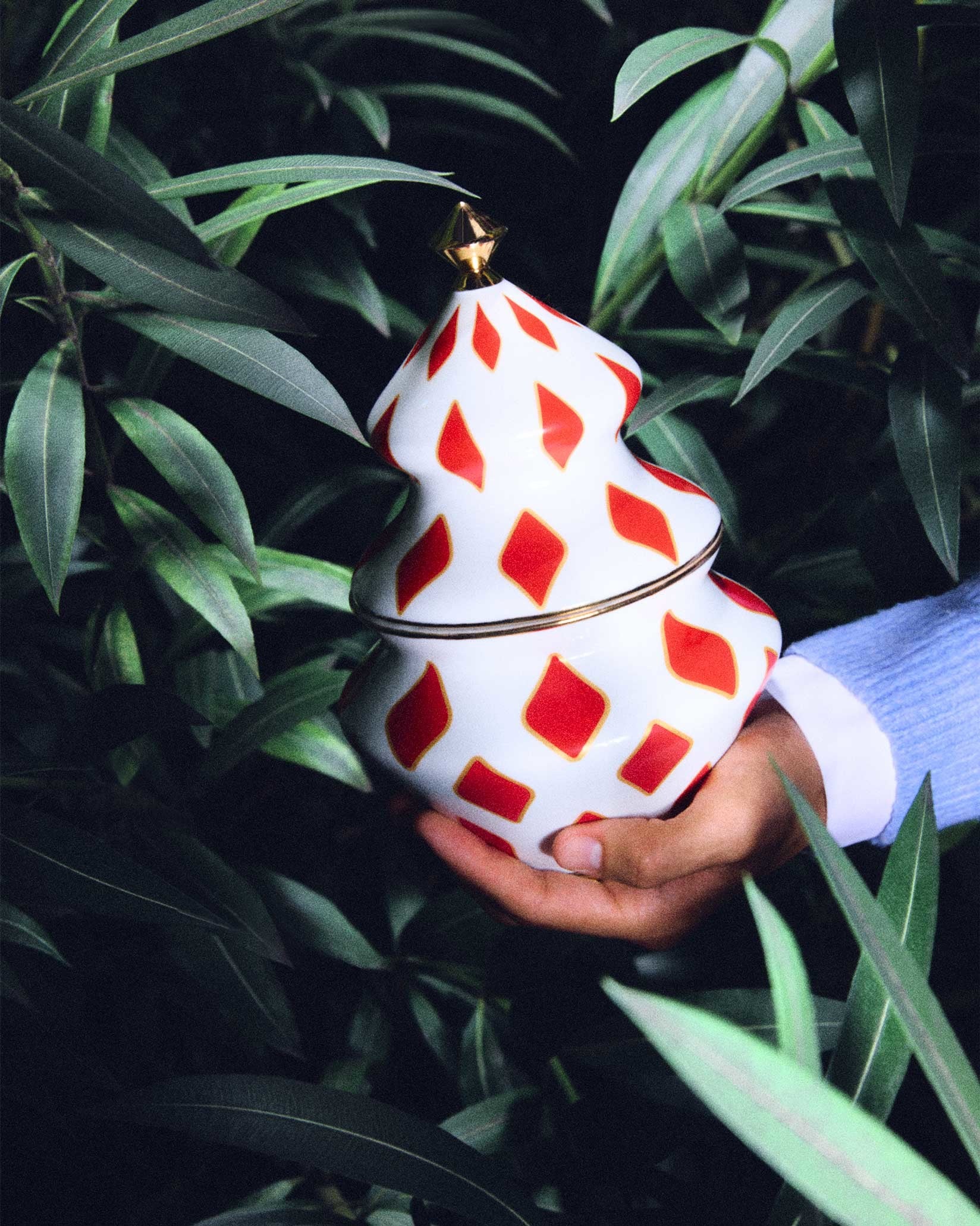 Delight - Image 2