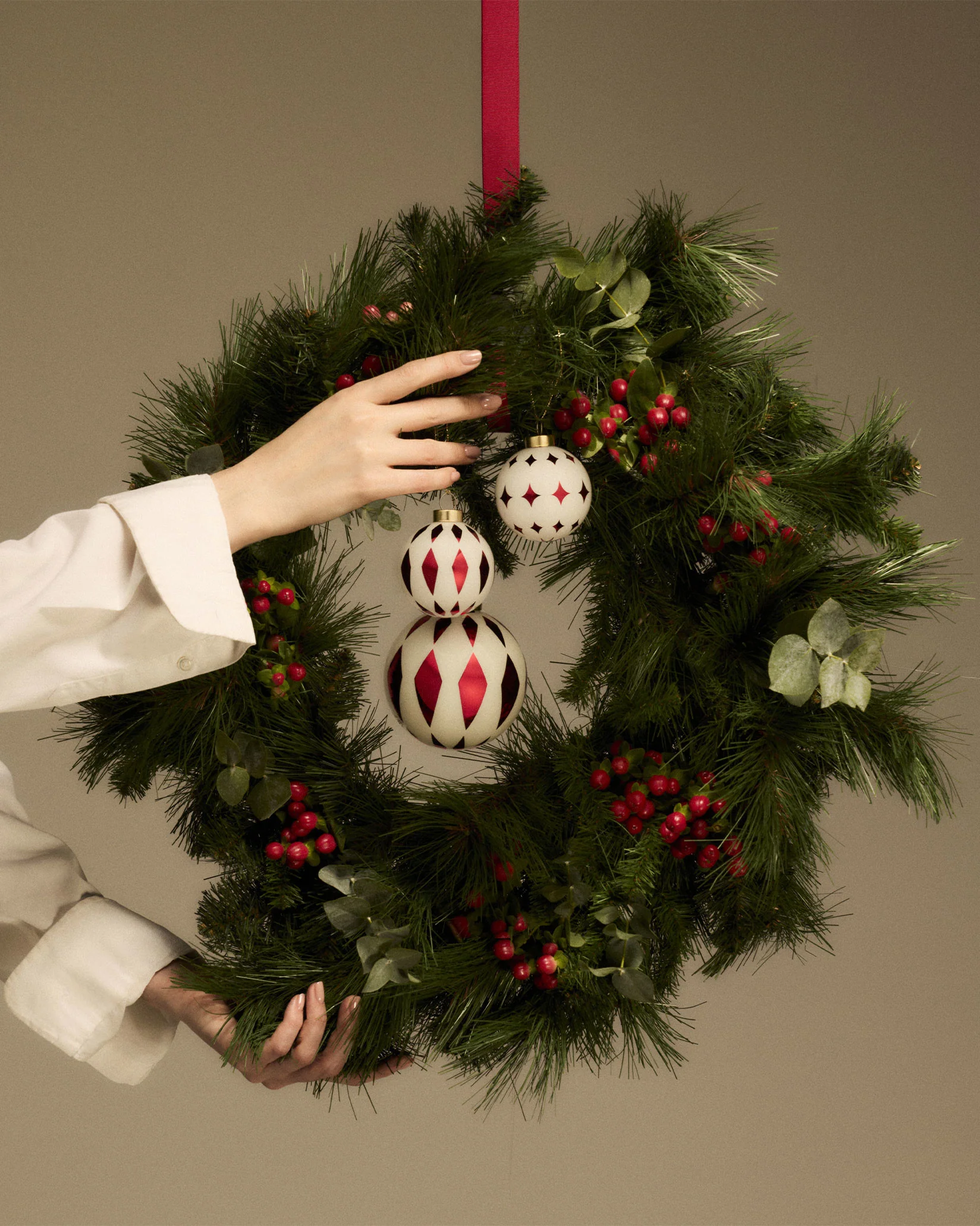 Delight - Image 3