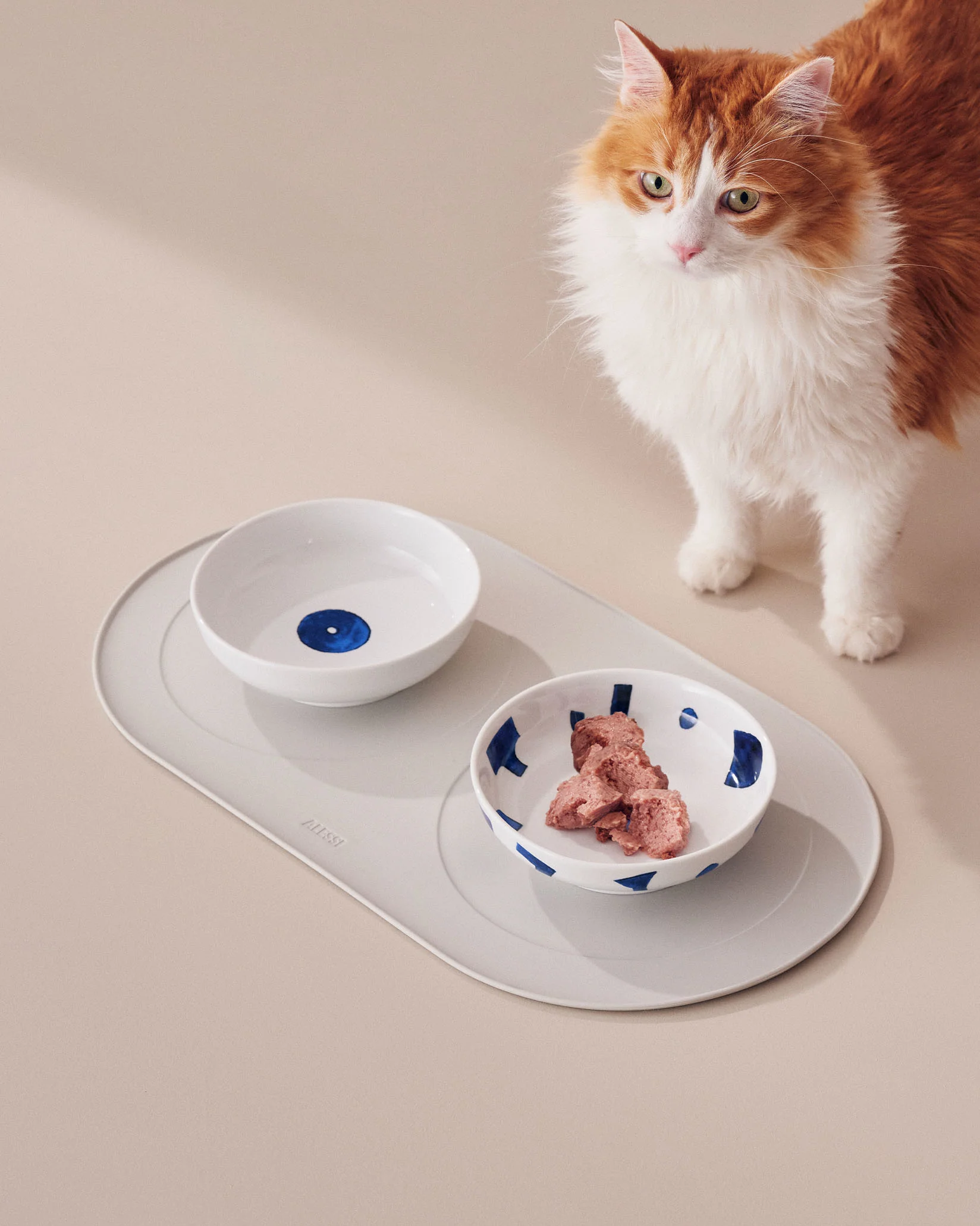 Itsumo pet - Image 2