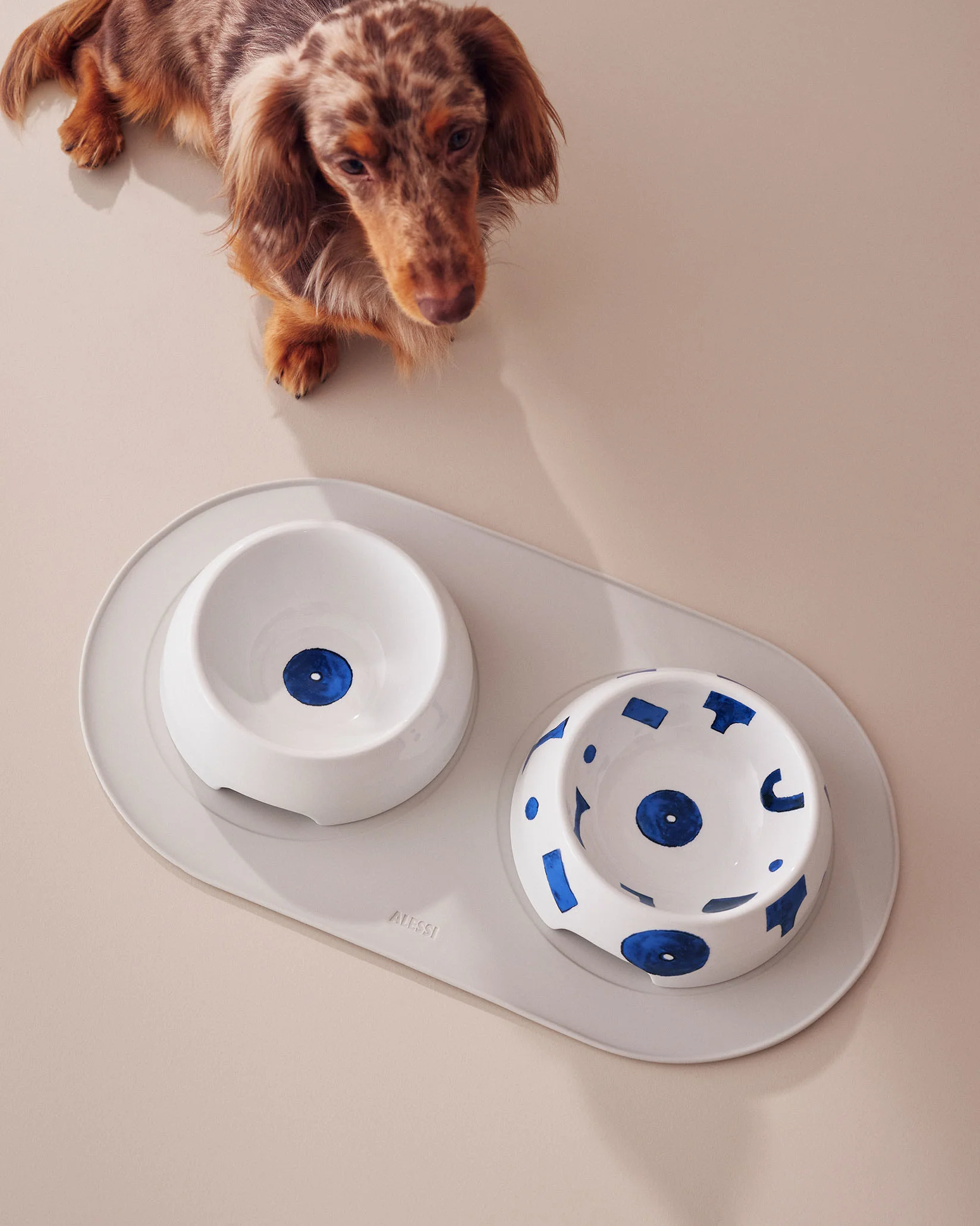 Itsumo pet Yunoki ware - Image 2
