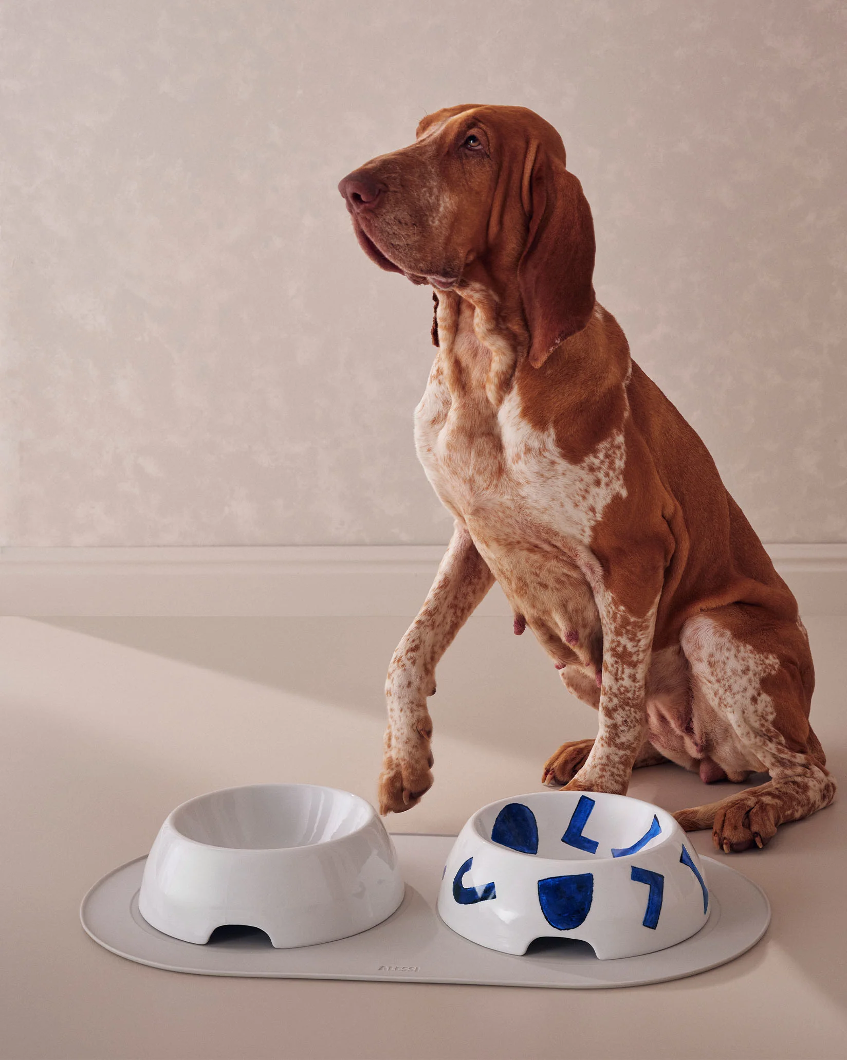 Itsumo pet Yunoki ware - Image 3