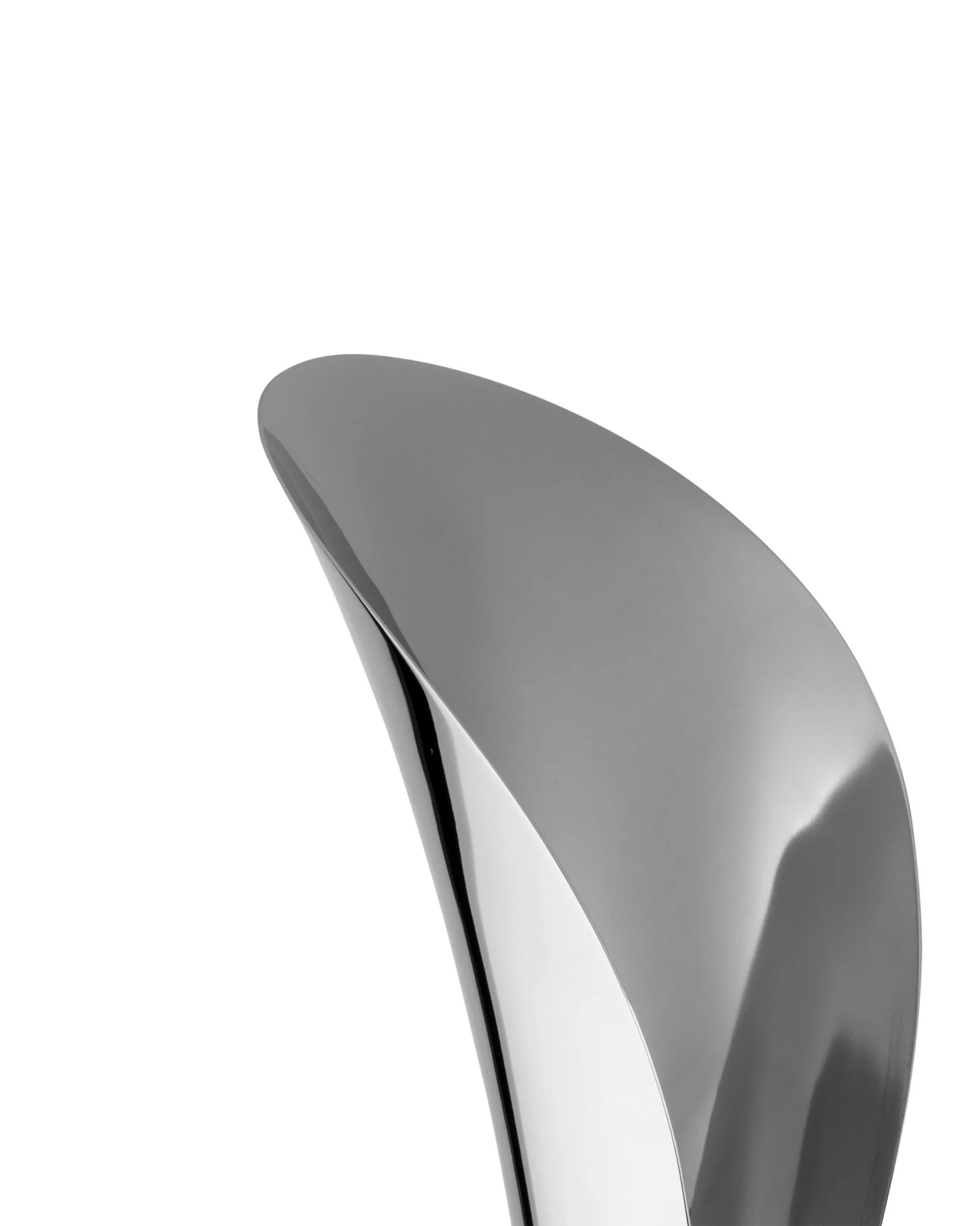 Lily - Image 3