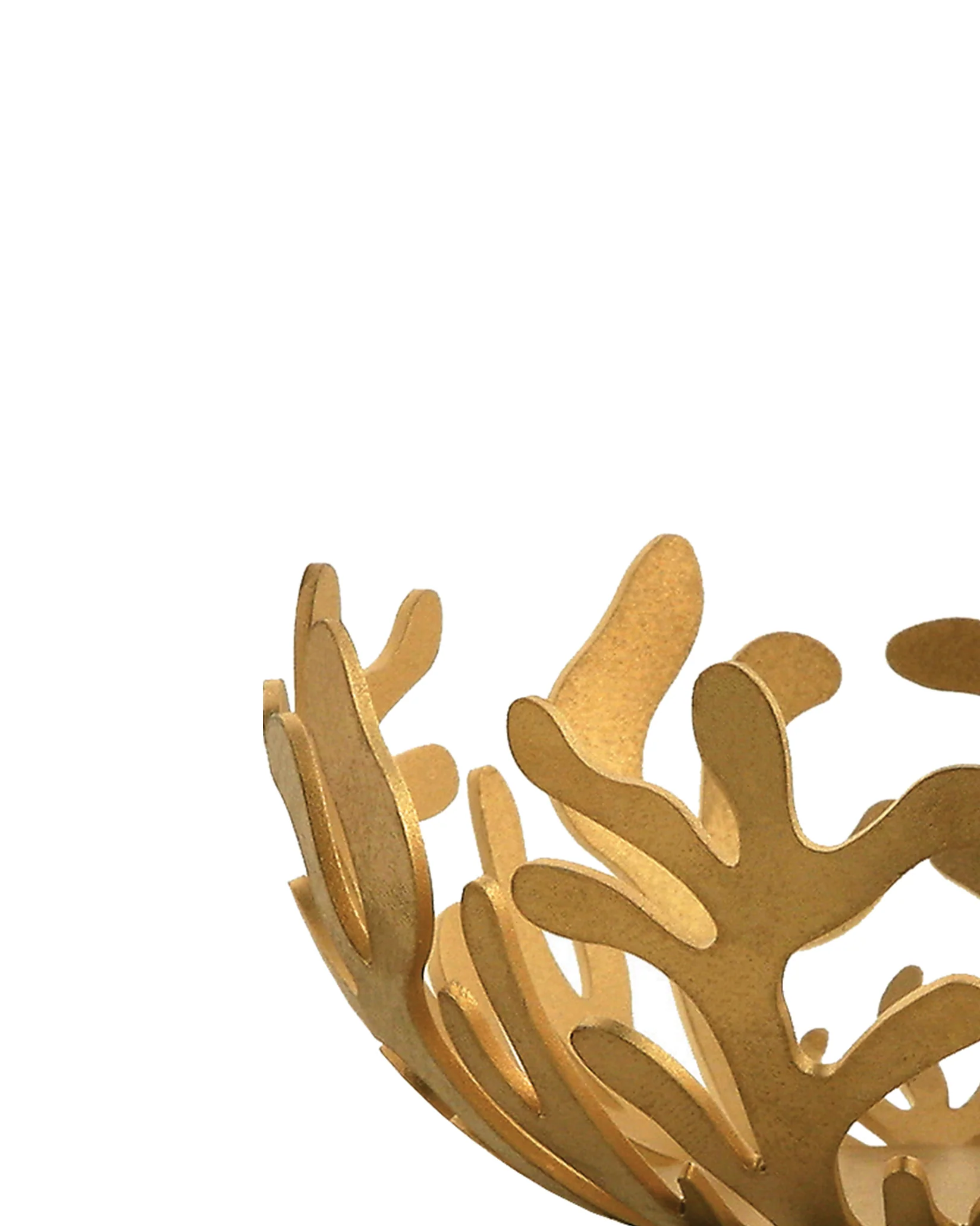 Mediterraneo - Image 3