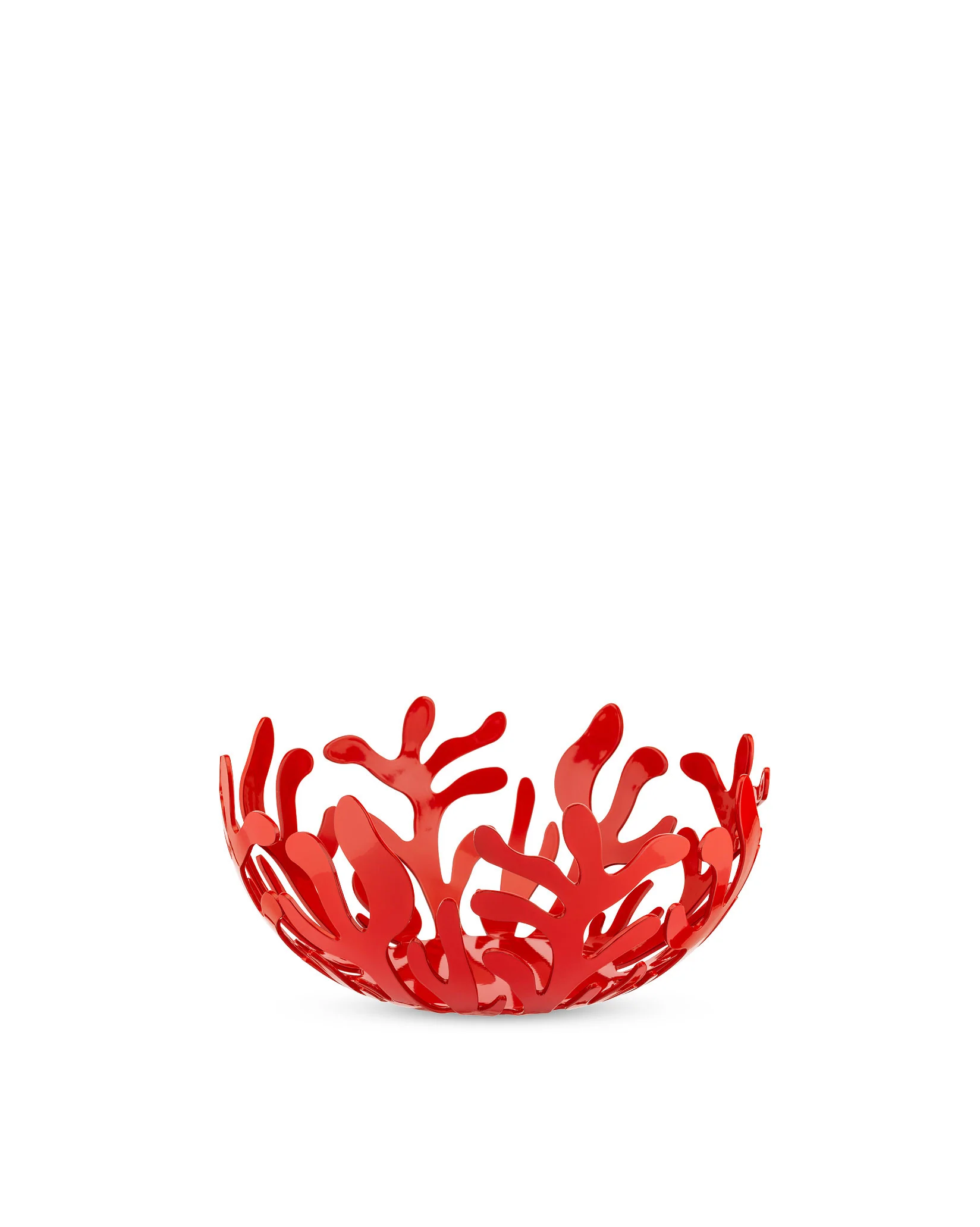 Mediterraneo - Image 6