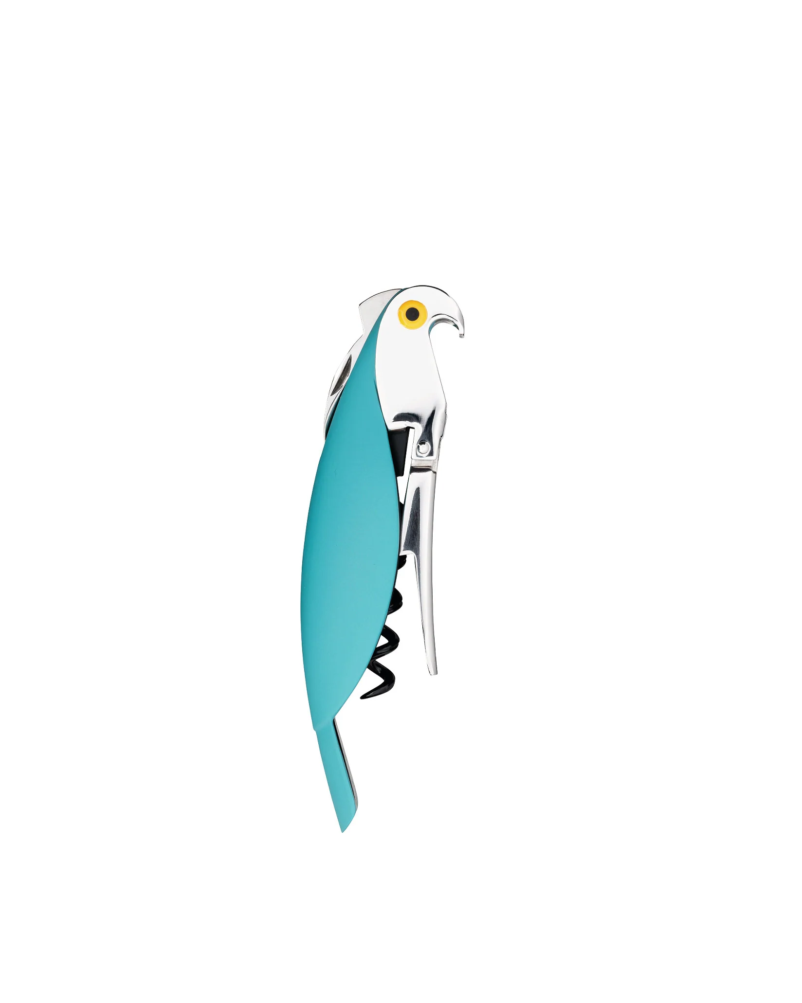 Parrot - Image 4