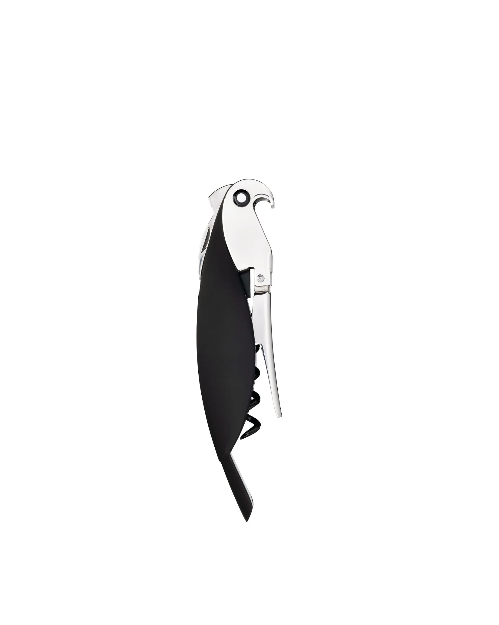 Parrot - Image 6